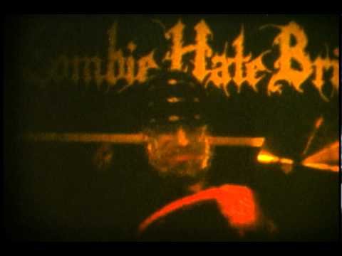 Zombie Hate Brigade - I wanna put my Junk in Stacy