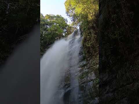 Cachoeira Los pagos...são gabriel do oeste!
