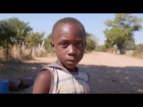 Help 300+ Zimbabwean Orphans Return to School