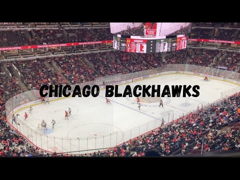 Party bus to the Chicago Blackhawks NHL game