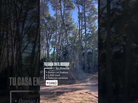 Venta de Lote Terreno en Carilo Pinamar