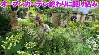 [Flower Valley Old Village] A quick introduction to the 2025 Spring Open Garden before the sun se...