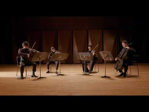 String Quartet comparison: mezzo-forte Carbon Fiber vs. Wooden Master instruments