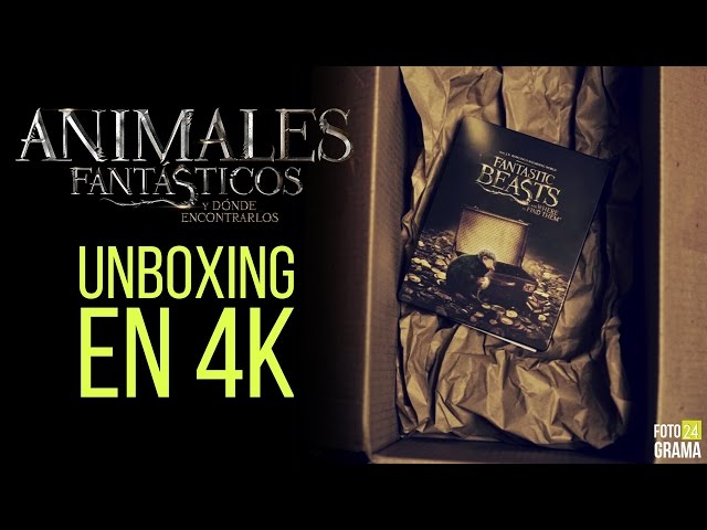 Vídeo relacionado con Animales fantásticos 1: Y dónde encontrarlos (Blu-ray) [Blu-ray]