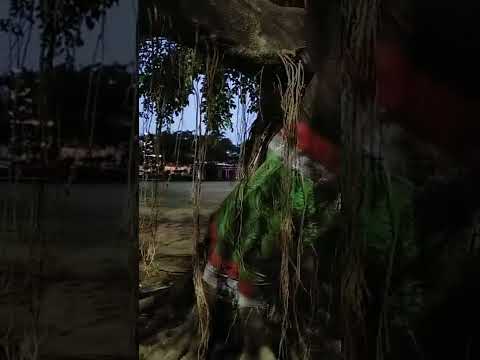 alun alun kota brebes