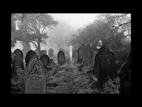 HXNJV - MORTEM ANIMALIUM w/ UNDXRTVKER + GHOSTOFBLU [PROD. REAVER]