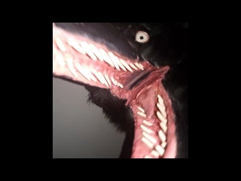 [FREE] Grunge x Electro Punk x Alternative Type Beat - ‘CREATURE’