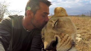 American Tourist Killed by Lion | Kevin Richardson - The Lion Whisperer responds
