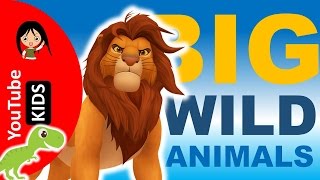 Learn Wild Animals Names and Sounds with Actual Pictures (Part 3) - YouTube Kids