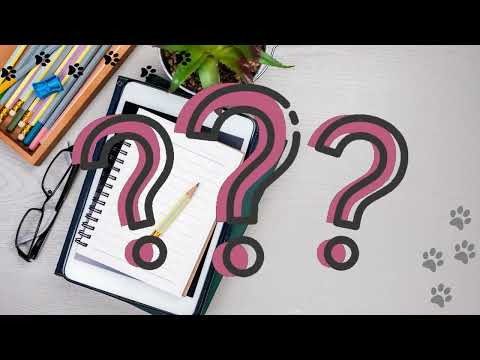 Vydáváme knihu „Rocky na stopě italského tajemství“