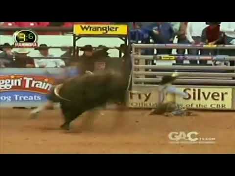 Hasta Luego bucks Logan Knibbe - 08 CBR Finals