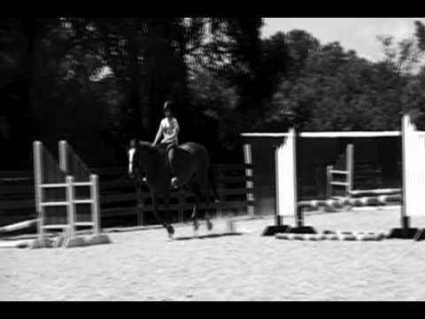 Got No Reason, Got No Shame...