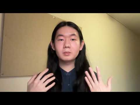 MAIP Application Intro Harry Lin The Local Foreigner