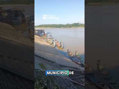 Desolador panorama por paro armado en #caquetá