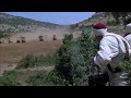 Lion Of The Desert Ambush