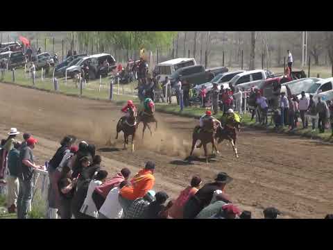 CORONITA  Club Hípico Cipriano Catriel - Catriel - Río Negro - 24-09-23