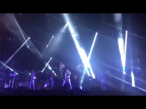 Orquesta Domino 2017