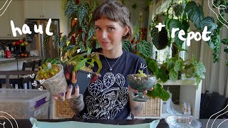 just a girl and her carnivorous plants 🪴🪰