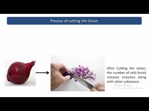 What makes you cry while cutting the onion