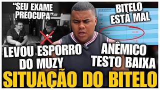 POLÊMICA! BITELO MENTIU SER NATURAL ? LEVOU BRONCA DO MUZY E SAÚDE PREOCUPA