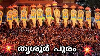 Thrissur Pooram Whatsapp status Malayalam | Thrissur Pooram status | Pooram status video |തൃശൂർ പൂരം