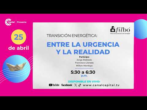 Transición energética: entre la urgencia y la realidad
