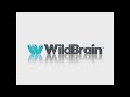 WildBrain 2020