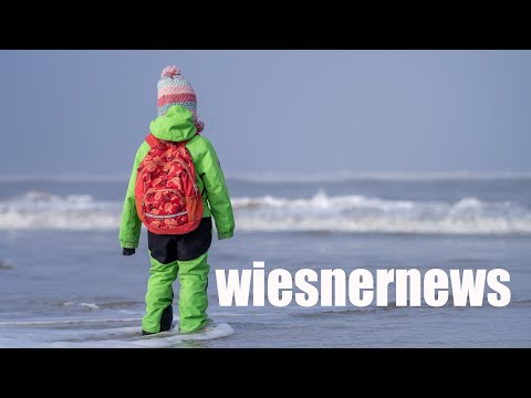 Stellt Sony APS-C Kamera ein und wie gut ist Nikon Z FC? - wiesnernews