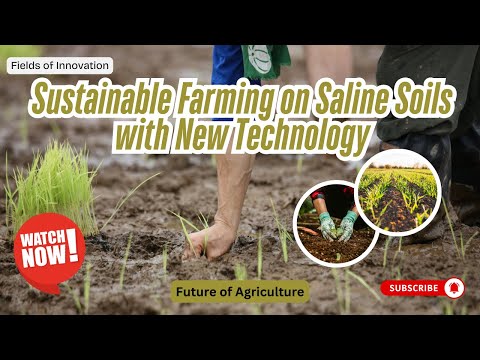 Salt-Tolerant Crops: The Future of Sustainable Agriculture