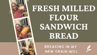 Fresh Milled Flour Sandwich Bread| Using My New Harvest Grain Mill
