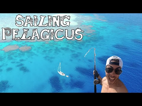 Sailing The Great Barrier Reef at 20