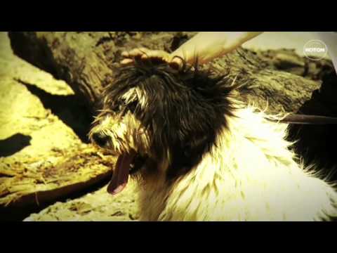 lalybensaleh’s Video 104566701201 aT39H4HSD38