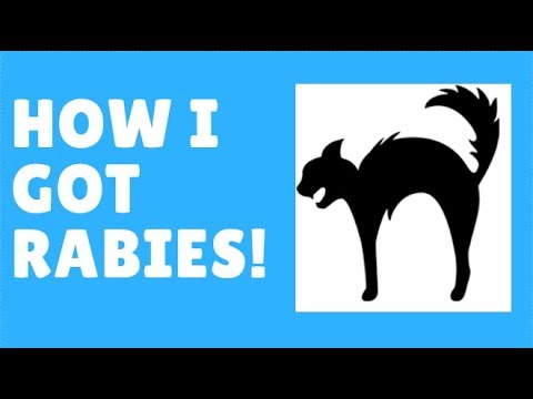 HOW I GET RABIES FROM STRAY CATS!!!