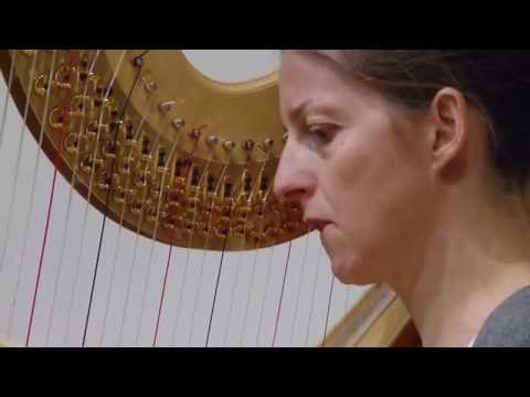 Silke Aichhorn backstage: Die Harfinistin kurz vor ihrem Duo-Konzert mit Flöte in Erlangen