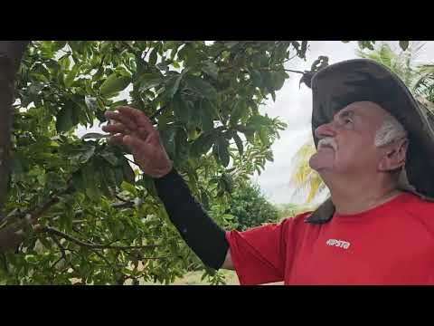 Mk NEWS SÍTIO SÃO PEDRO JARDIM DO SERIDÓ RN. 