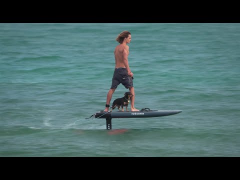 Takuma Efoil - Flying Above Water with His Dog