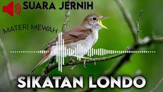 Download lagu AUDIO MASTERING || SIKATAN LONDO 1 JAM BERJEDA ALAMI mp3