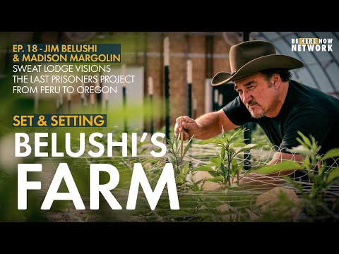 Belushi’s Farm with Jim Belushi & Madison Margolin - Set and Setting Ep. 18