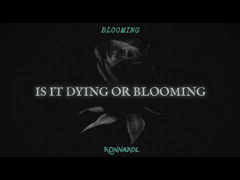 Video thumbnail for Blooming