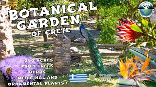 Exploring the Magical BOTANICAL Garden of CRETE! Greece | 4K UHD