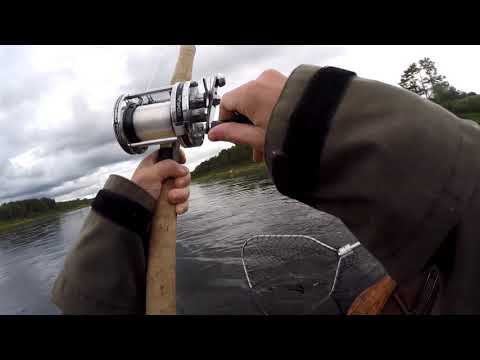 Tornionjoki lohenkalastus 2018