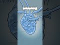 It Took Her Another Birth Logokuhe Mahadev Shiva Sabatandharma Shortsnew Shortsviral