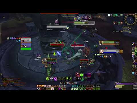 Demonology Warlock Outplays Facerolling BM Hunter / WoW Shadowlands Arena