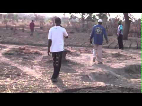 Conserving Senegal's Chimpanzees through Education