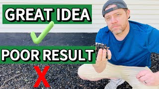 My Thoughts on Rubber Mulch | 2 Years Later