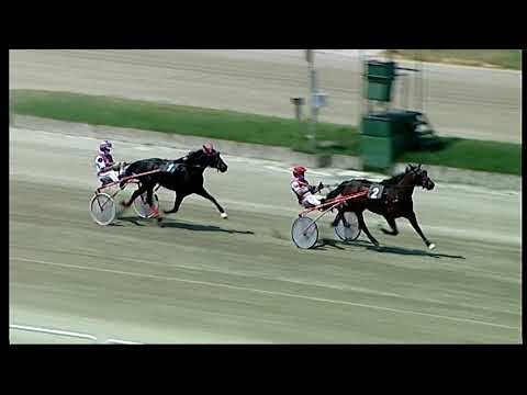 Napoli Trotto 10/06/2021 - 1ª prova di qualifica