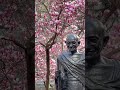 Mohandas Gandhi Statue At Union Square Park Manhattan New York City Newyork Spring Gandhi Nyc