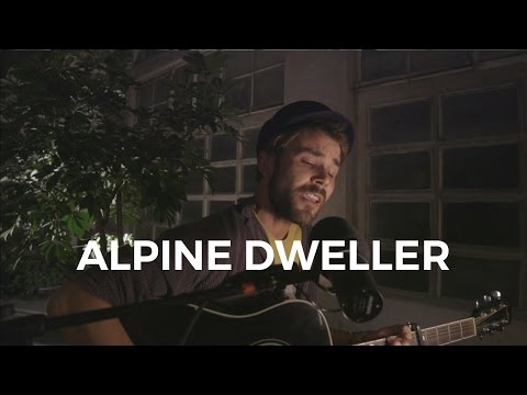 Alpine Dweller - Bee! (Poetry) (Hof Session)