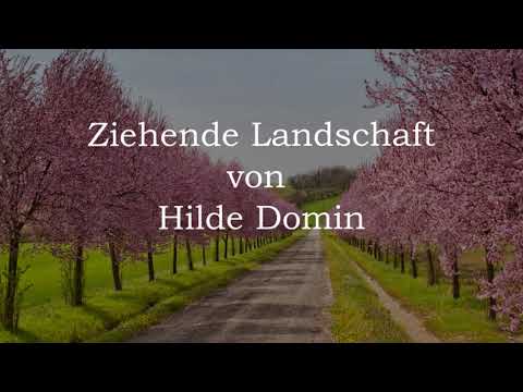 Ulrich Maiwald spricht: "Ziehende Landschaft", ein Gedicht von Hilde Domin