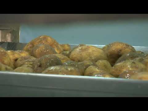 Magic of Making - Potato Crisps